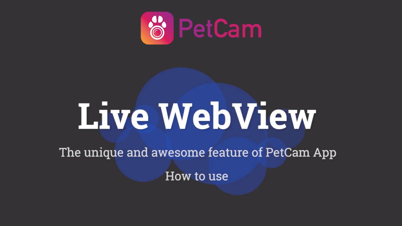 PetCam App Live WebView, best dog monitor app