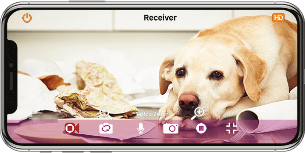 petcam app, petcamapp, best dog camera app, pet camera, dog monitor app, macos, windows, iOS, android, apple, google play