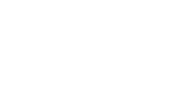 logo2a
